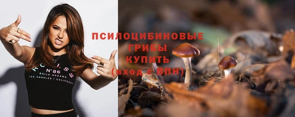 трава Зеленокумск