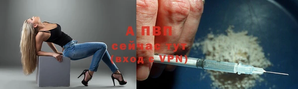 трава Зеленокумск