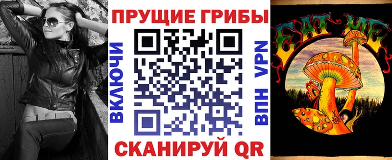 как найти закладки  Павловская  Псилоцибиновые грибы Psilocybe 
